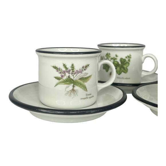 ITALIAN Set (6) Espresso Tea IPA CUPS & SAUCERS Demitasse Botanic Garden Flowers - Picture 4 of 14